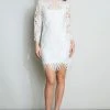 Elie Tahari Scallop Lace Dress Dress Musings 2 Elie Tahari Scallop Lace Dress Dress Musings